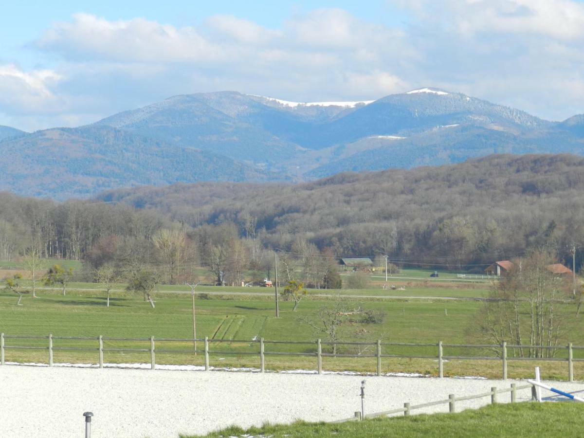 Oscar'S Home Soppe-le-Bas エクステリア 写真