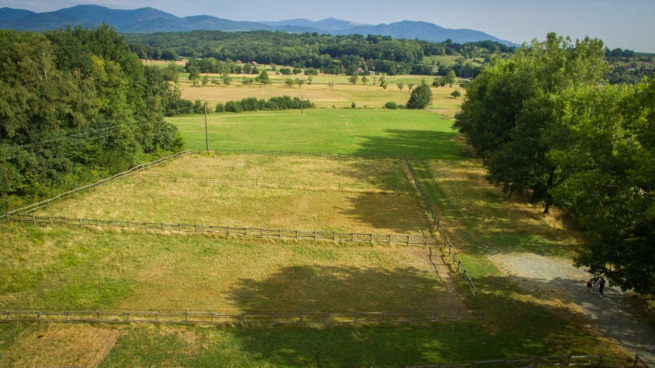 Oscar'S Home Soppe-le-Bas エクステリア 写真